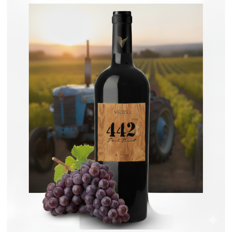 Bouteille 442 Pech Naut, vin rouge AOP Malepère 2023 - Cave Vendéole