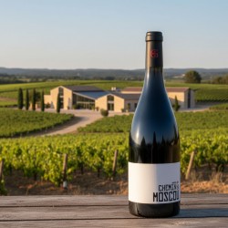 Bouteille le Chemin de Moscou BIO - Domaine Gayda.