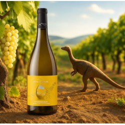 Bouteille Chardonnay Ampelosaurus - Terroir des Dinosaures, Anne de Joyeuse