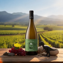 Bouteille Mauzac Terroir des Dinosaures Anne de Joyeuse - vin blanc IGP Pays d'Oc