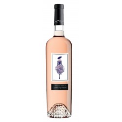 French défilé Vin rosé - Anne de joyeuse.