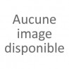 Anne de joyeuse